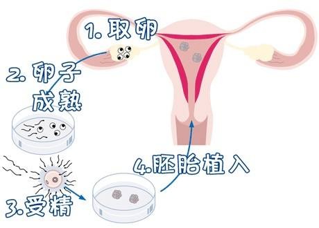 苏医生